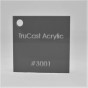 3001/ .220/ 48x96/ TruCast/ P