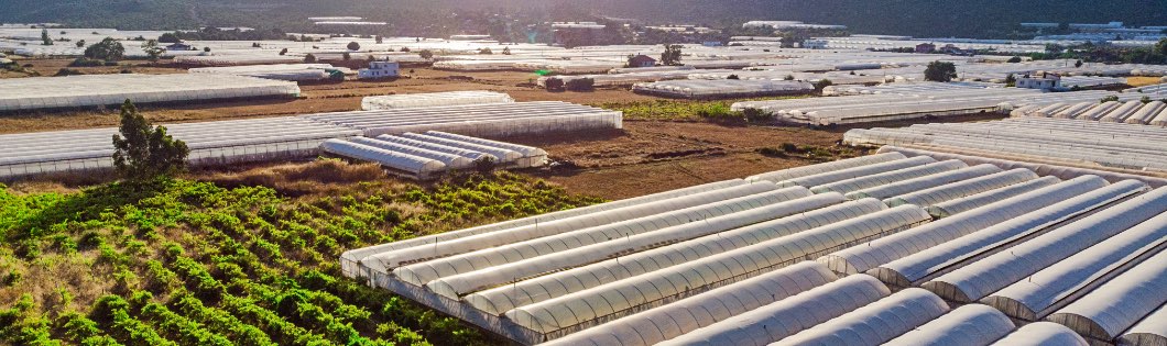 Greenhouses